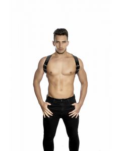 Dale Mas Industry Synthetic Harness