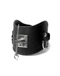 Mister B Posture Collar with Stainless Steel Pin - buy online at www.misterb.com