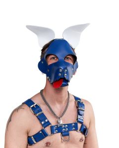 Mister B Leather Shaggy Dog Hood Circuit – Blue-White