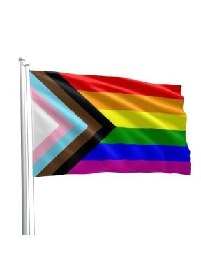 Mister B Progress Pride Flag 90 x 150 cm