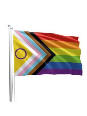 Mister B Intersex Progress Pride Flag 90cm x 150cm
