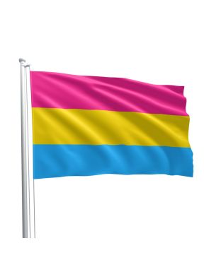 Pansexual Flag 90 x 150 cm