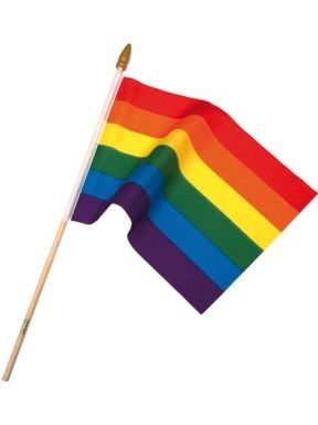 Gay-Pride-Rainbow-Flag-on-Stick-S