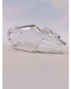 Titus Silicone Series Trainer Chastity Cage - Standard