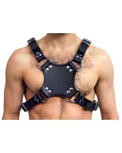 Mister B Leather Walking Harness Black-Black - buy online at www.misterb.com