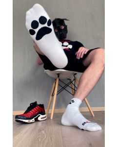 Sk8erboy PUPPY Short Crew Socks - White