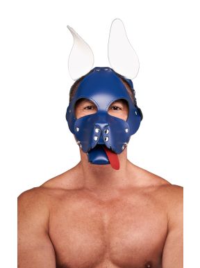 Mister B Leather Shaggy Dog Hood Circuit – Blue-White